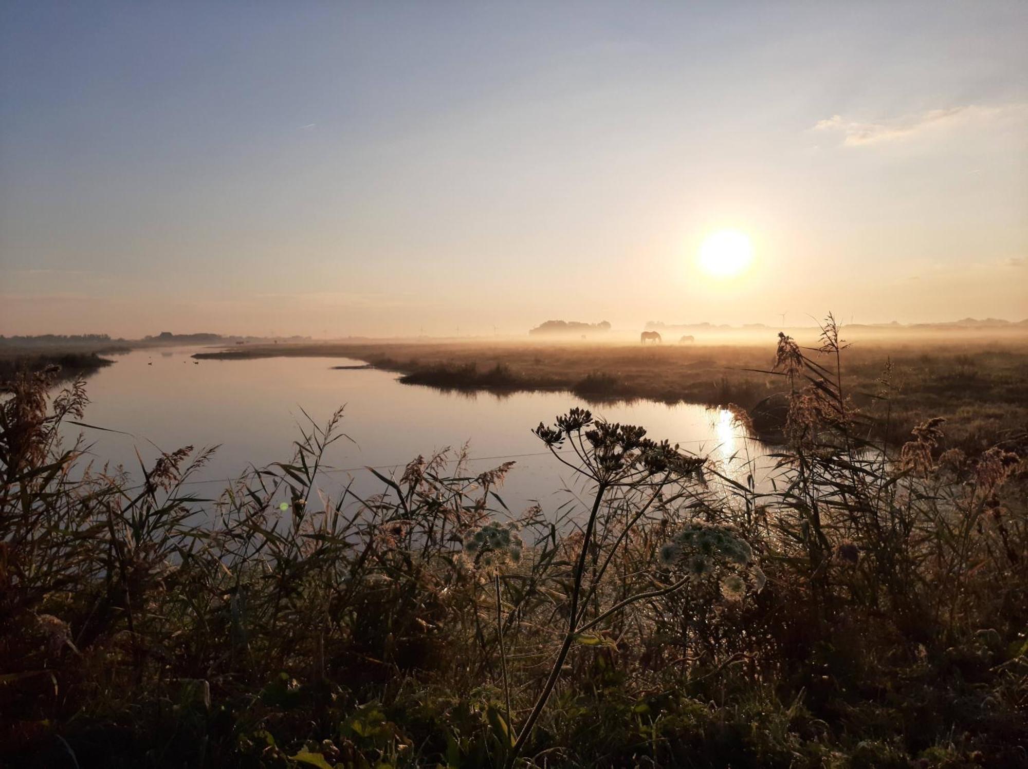 Zoute Bries, In Natuurgebied En Vlakbij Het Strand Callantsoog Esterno foto